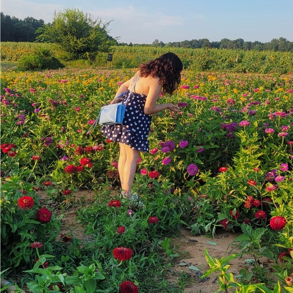 Meet your Posher, Marilyn - Picture 2 of 6